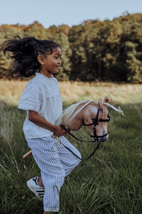 Hobby Horse Turniere