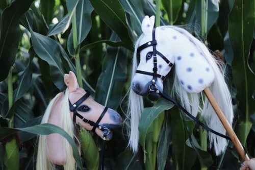 Hobby Horse