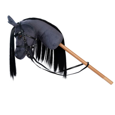 Steckenpferd Hobby Horse