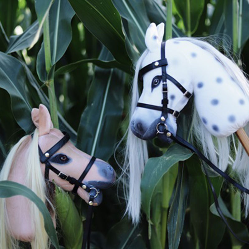 Hobby Horse